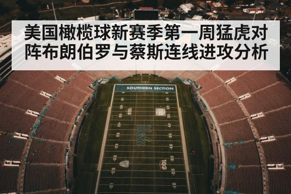 美国橄榄球新赛季第一周猛虎对阵布朗伯罗与蔡斯连线进攻分析